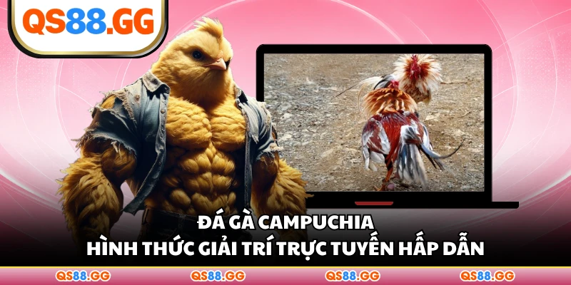 Đá Gà Campuchia - Hình Thức Giải Trí Trực Tuyến Hấp Dẫn