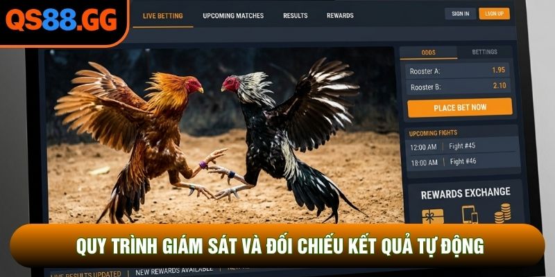 Quy trình giám sát và đối chiếu kết quả tự động