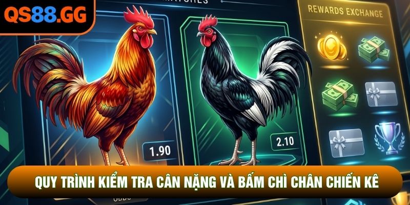 Quy trình kiểm tra cân nặng và bấm chì chân chiến kê